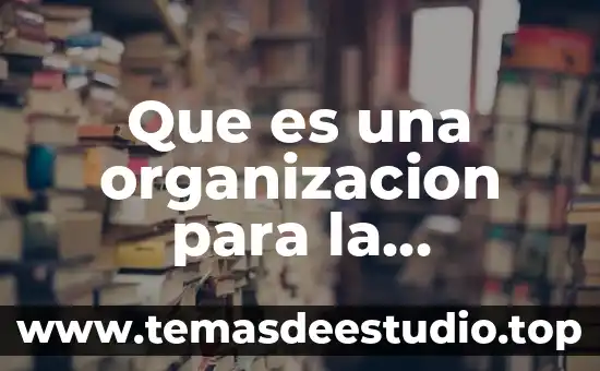 ¿Qué es el capital social de una organización? 3 Que es una organizacion para la sociologia