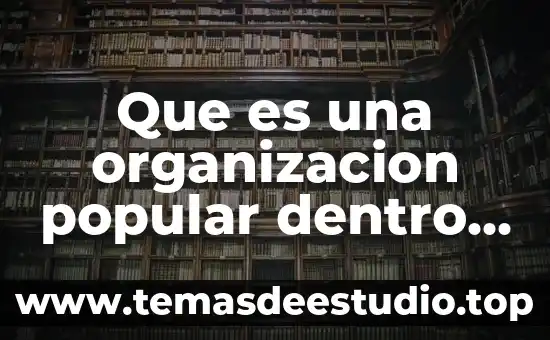 Qué es una asociación animal gubernamental 4 Que es una organizacion popular dentro de una asociacion civil