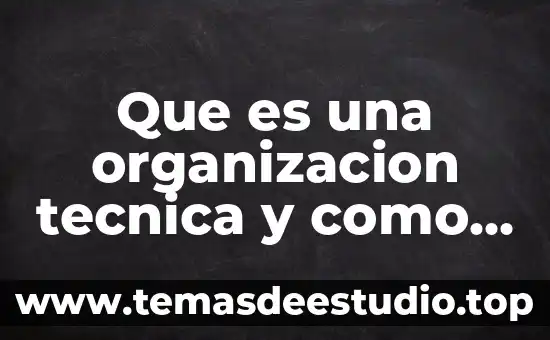 Que es una ficha tecnica para un vestuario 4 Que es una organizacion tecnica y como se emplea