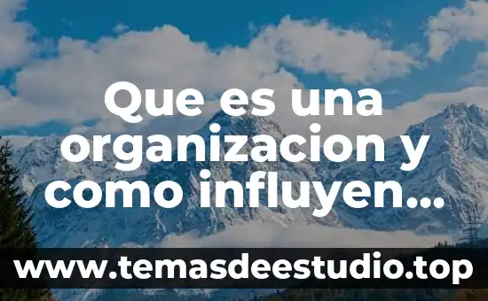 Que es la organizacion cepal 4 Que es una organizacion y como influyen en los acuerdos