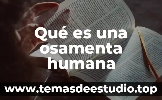 Significado de que es la naturaleza humana 7 Qué es una osamenta humana