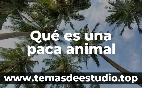 Que es la celula animal caracteristicas funcion 3 Qué es una paca animal