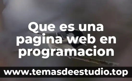 Qué es base de datos para página web 6 Que es una pagina web en programacion