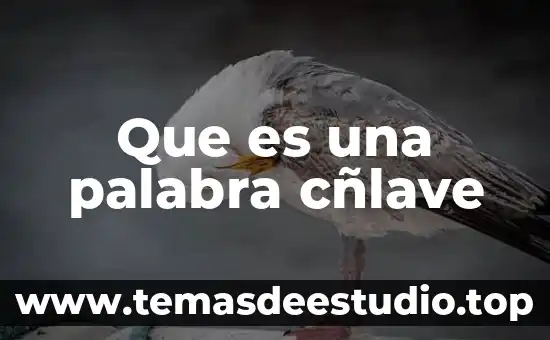 Qué es el significado de la palabra prudente 8 Que es una palabra cñlave