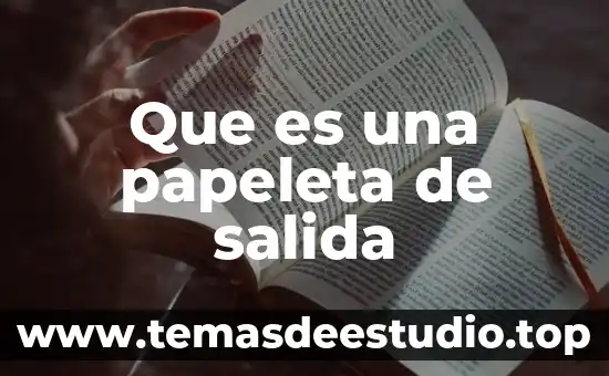 Que es una papeleta de salida