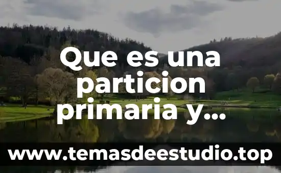 Qué es la complejidad y lógica no clásica 4 Que es una particion primaria y logica