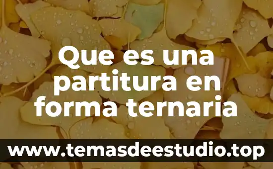 Que es el circulo que se forma alrededor del sol 3 Que es una partitura en forma ternaria
