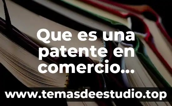 Que es la nomenclatura de ginebra comercio exterior 5 Que es una patente en comercio exterior