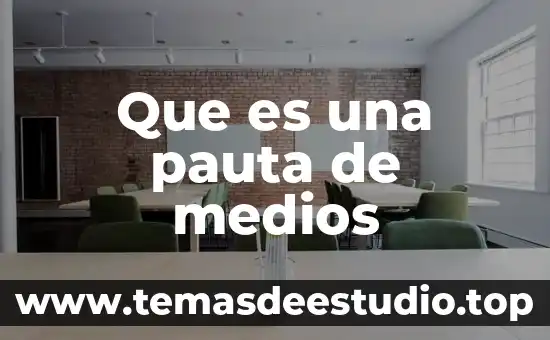 Qué es pauta en filosofía 5 Que es una pauta de medios