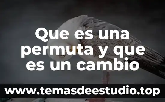 Que es cambio afectivo 3 Que es una permuta y que es un cambio