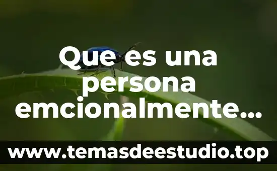 Que es una persona fisica y moral en una pymes 3 Que es una persona emcionalmente fuerte