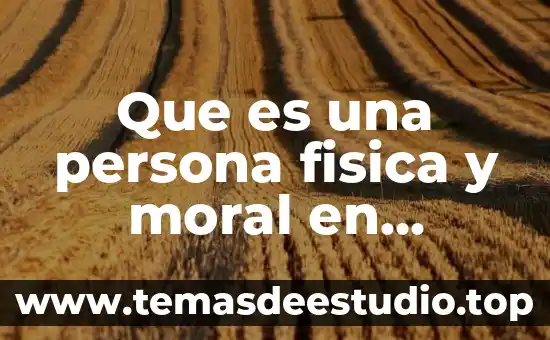 Que es una persona fisica y moral en derecho