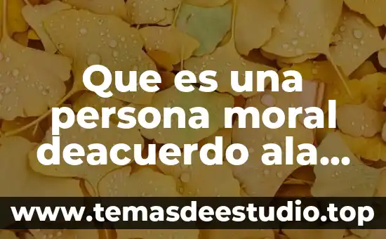 Que es ser una persona laica 6 Que es una persona moral deacuerdo ala ley