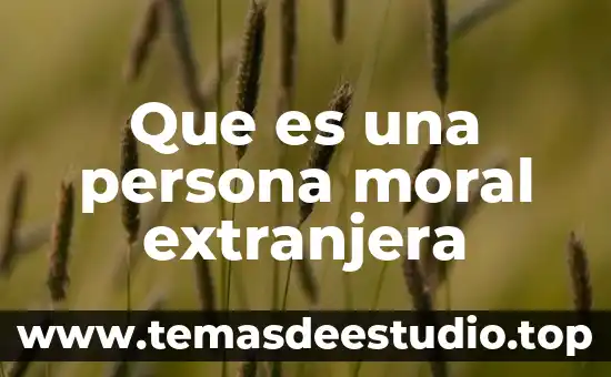 Qué es la sociedad extranjera 7 Que es una persona moral extranjera