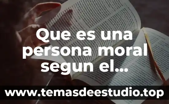 Que es una persona moral segun el derecho fiscal