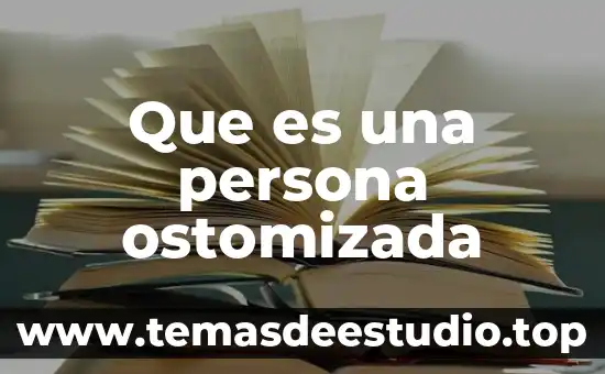 Que es la arquitectura gotica en lo economico 6 Que es una persona ostomizada