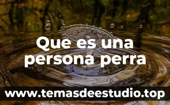 Que es una persona fisica y moral en una pymes 8 Que es una persona perra