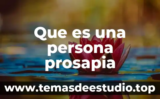 Que es una persona fisica y moral en una pymes 5 Que es una persona prosapia