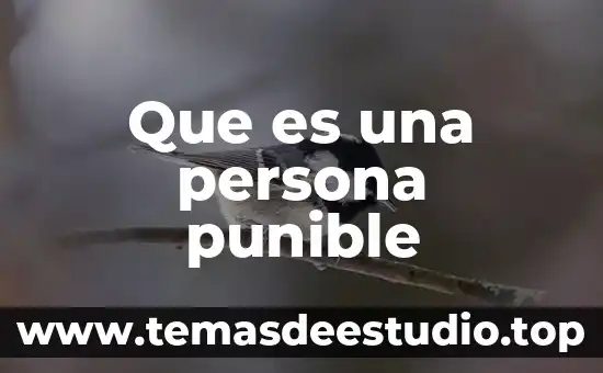Qué es una persona malcriada yahoo 6 Que es una persona punible