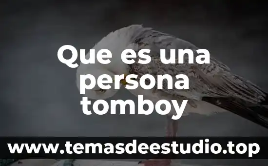 Como explicar a una persona que es un fluido 5 Que es una persona tomboy