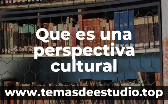 Que es una perspectiva cultural