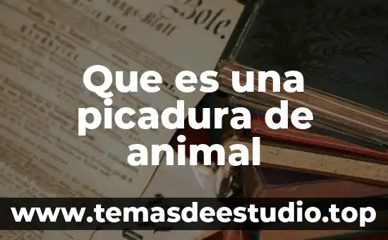 Que es la proteccion animal mundial 4 Que es una picadura de animal