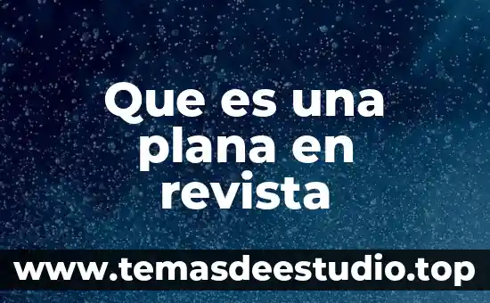 Revista como ves que es el amor reseña 4 Que es una plana en revista