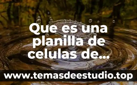 Que es el derecho humano al nombre 7 Que es una planilla de celulas de humano