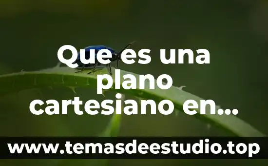 Que es una plano cartesiano en matemáticas