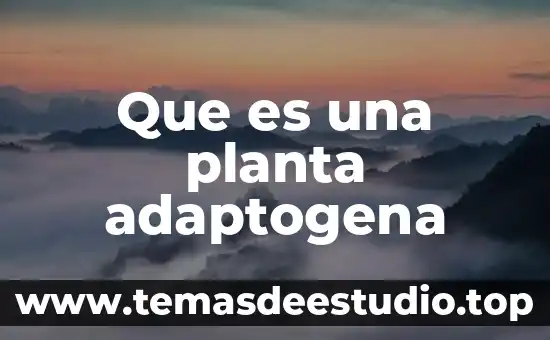 Calcio en una planta que es 6 Que es una planta adaptogena