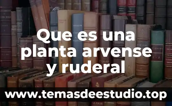 Tatinos en una planta que es 5 Que es una planta arvense y ruderal