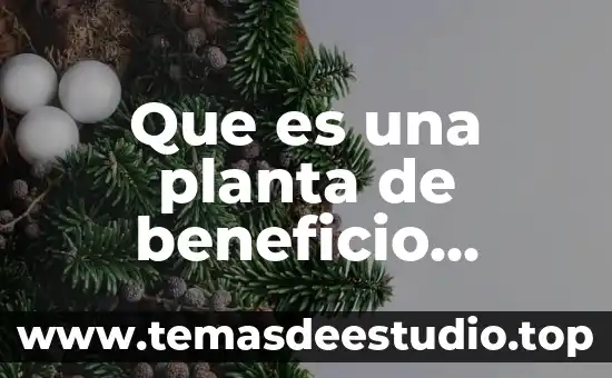 Que es el beneficio personal 3 Que es una planta de beneficio minero