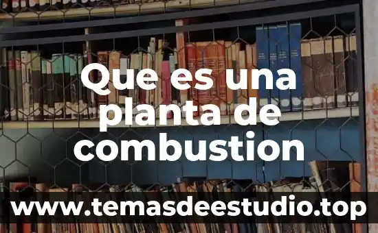 Que es planta piocha 5 Que es una planta de combustion