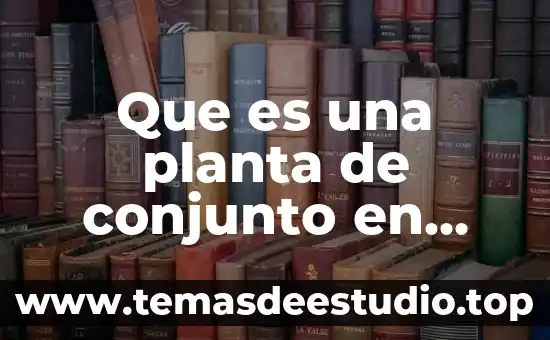 Ejemplos que es una planta de conjunto 4 Que es una planta de conjunto en arquitectura