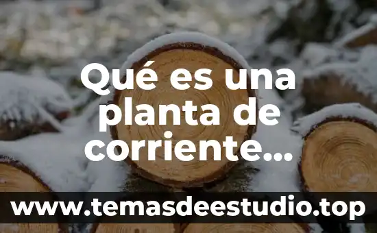 Que es la cuenta corriente de un pais 3 Qué es una planta de corriente directa