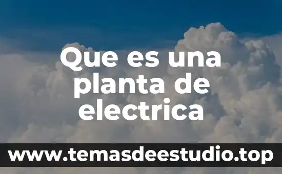 Que es una inspeccion visual de una subestacion electrica 5 Que es una planta de electrica