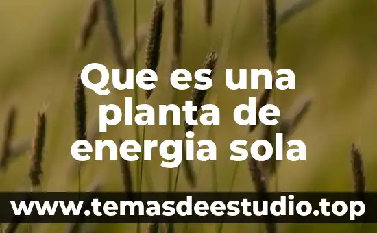 Que es uso eficiente de energia electrica 5 Que es una planta de energia sola