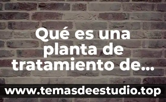 Que es asma sintomas causas y tratamiento 4 Qué es una planta de tratamiento de aguas negras