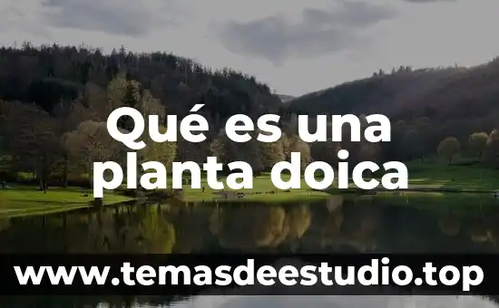 Qué es una hoja de planta 3 Qué es una planta doica