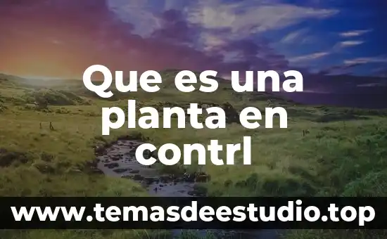 Calcio en una planta que es 3 Que es una planta en contrl