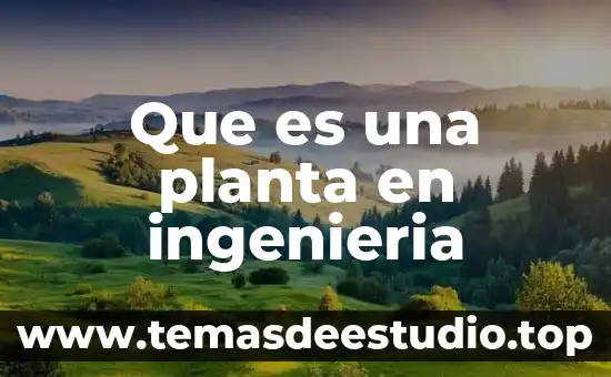 Qué es rfi en ingenieria de software 3 Que es una planta en ingenieria