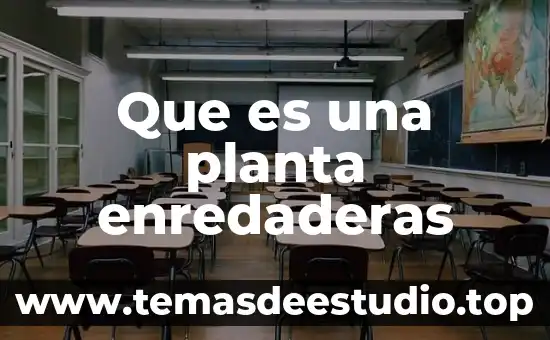 Qué es una hoja de planta 5 Que es una planta enredaderas