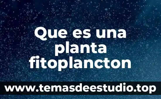 Que es el cuerpo secundario de una planta 3 Que es una planta fitoplancton