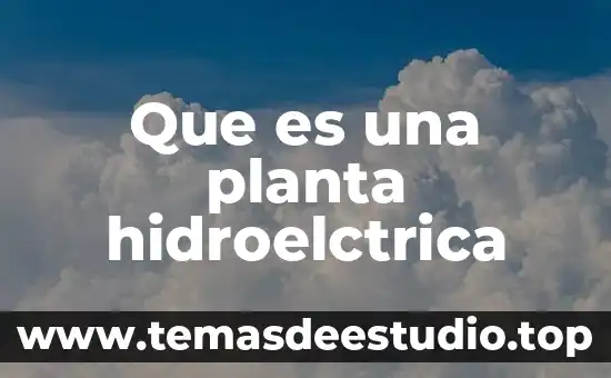 Que es un angios de un planta 5 Que es una planta hidroelctrica