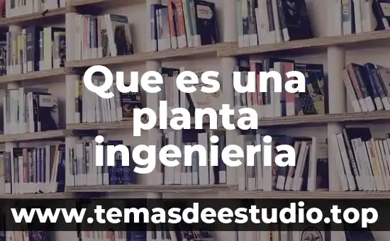 Que es la ingeniería industrial upav 6 Que es una planta ingenieria