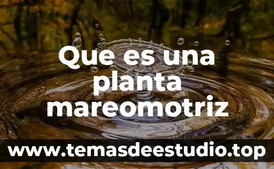 Que es el cuerpo secundario de una planta 4 Que es una planta mareomotriz