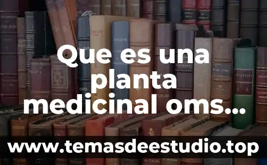 Que es savila o aloe vera medicinal 3 Que es una planta medicinal oms 2017