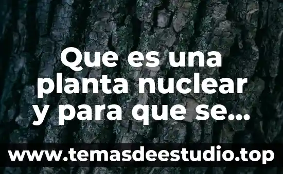 Que es la energia nuclear uso 8 Que es una planta nuclear y para que se utiliza