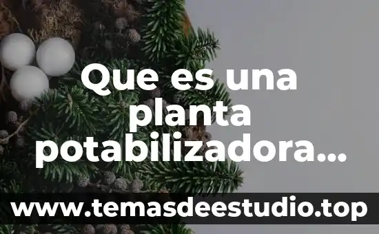 Que es un sistema de conduccion de agua potable 6 Que es una planta potabilizadora de agua potable