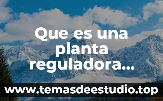 Que es funcion reguladora 6 Que es una planta reguladora hidraulica